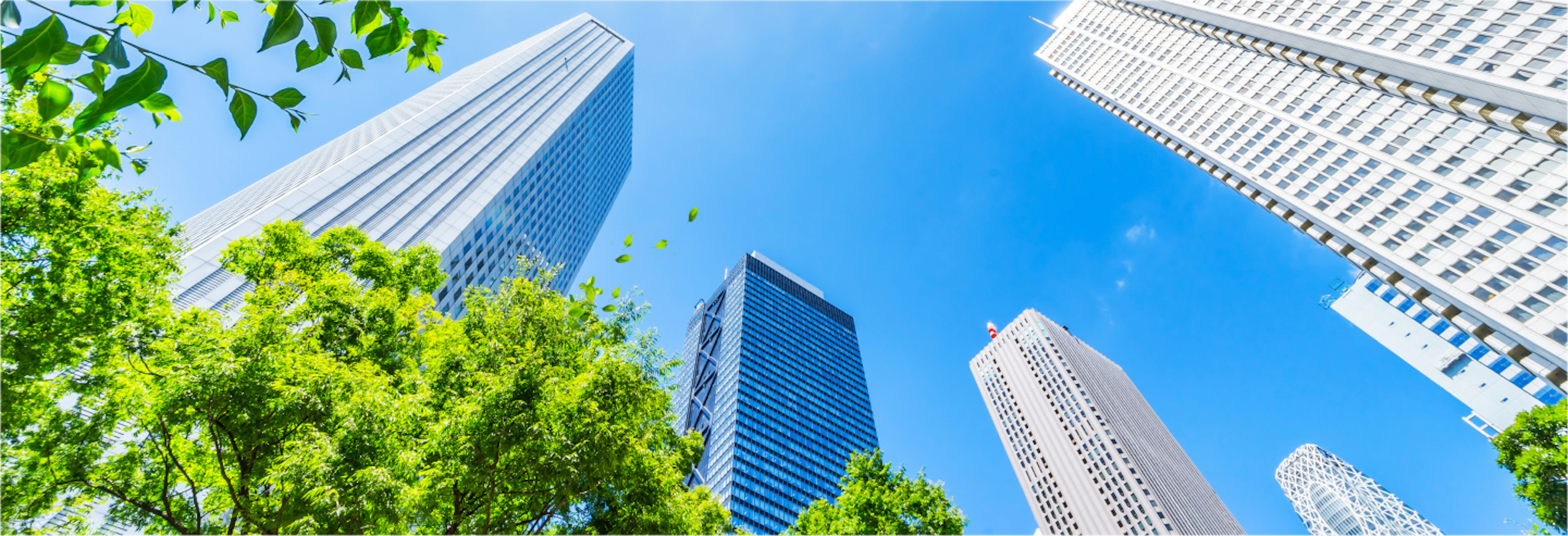 View from the ground of several tall skyscrapers against a clear blue sky, with green trees in the foreground.