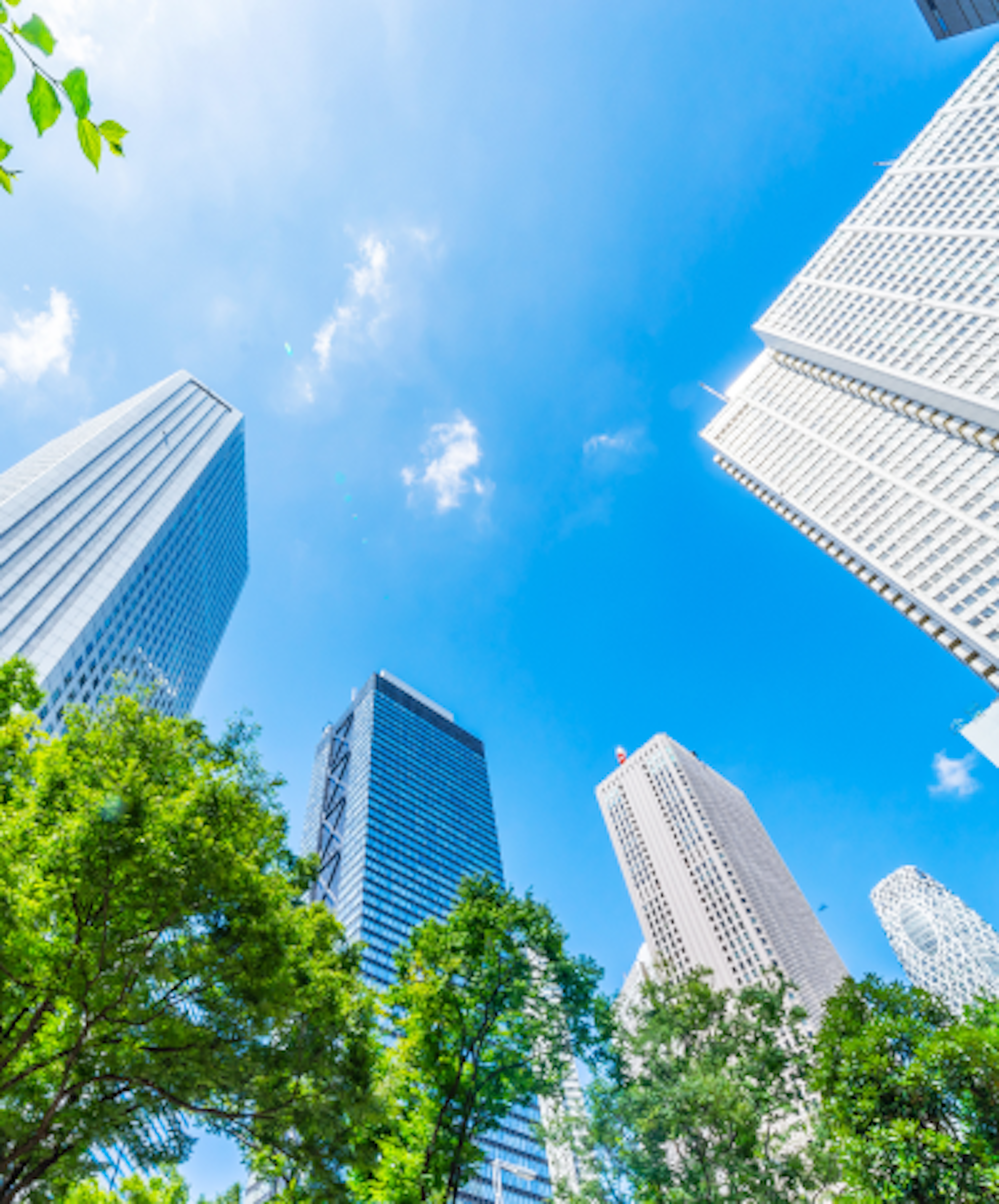 View from the ground of several tall skyscrapers against a clear blue sky, with green trees in the foreground.